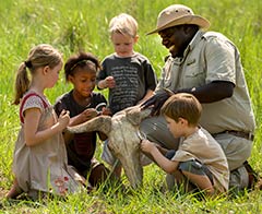 African Adventures visits Phinda
